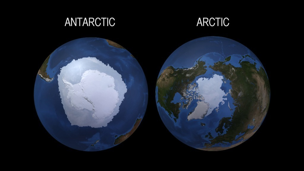 Arctic vs. Antarctic