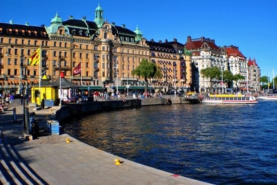 Sweden and Bioenergy: Energy from wood chips. In Sweden it is bigger than hydro and nuclear. The secret is taxing fossil fuels.