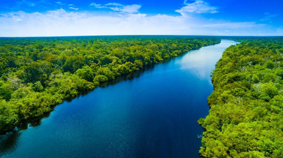 The Amazon Rainforest: The world’s largest rainforest and largest river. Providing 20% of the world’s oxygen. Under attack.