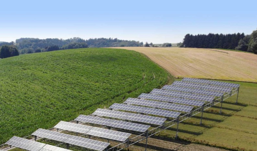 Agrivoltaics: Growing veggies under solar panels is quirky. Veggies and bees love the shade.