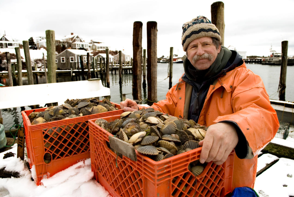 Acidification: When oceans become more acidic from carbon dioxide, it impacts the ability of shell fish to build their shells.