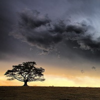 The Water Cycle: It is water or snow becoming water vapour becoming clouds becoming rain or snow.