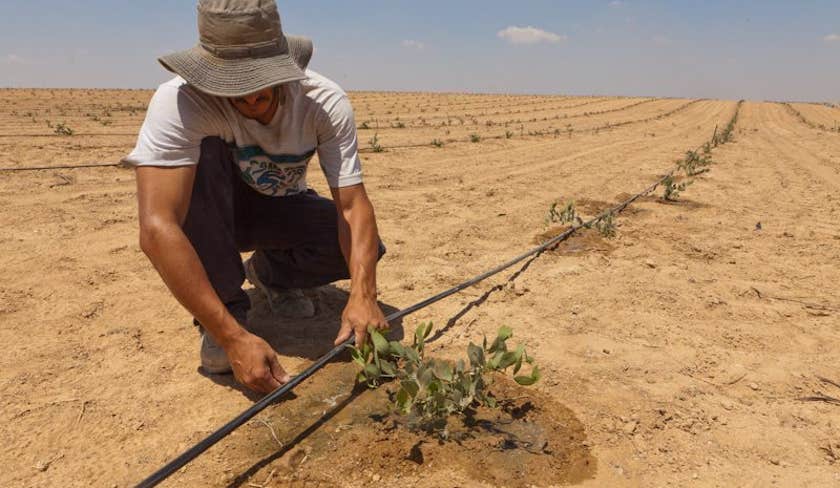 Israel: Israel has one of the most entrepreneurial cultures anywhere.