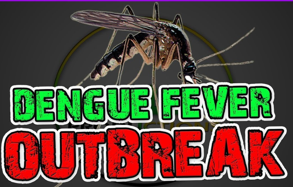 Dengue Fever: Not the killer like malaria but 200-300 million contract this mosquito carried virus.